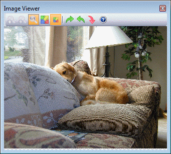 Floating Image Viewer